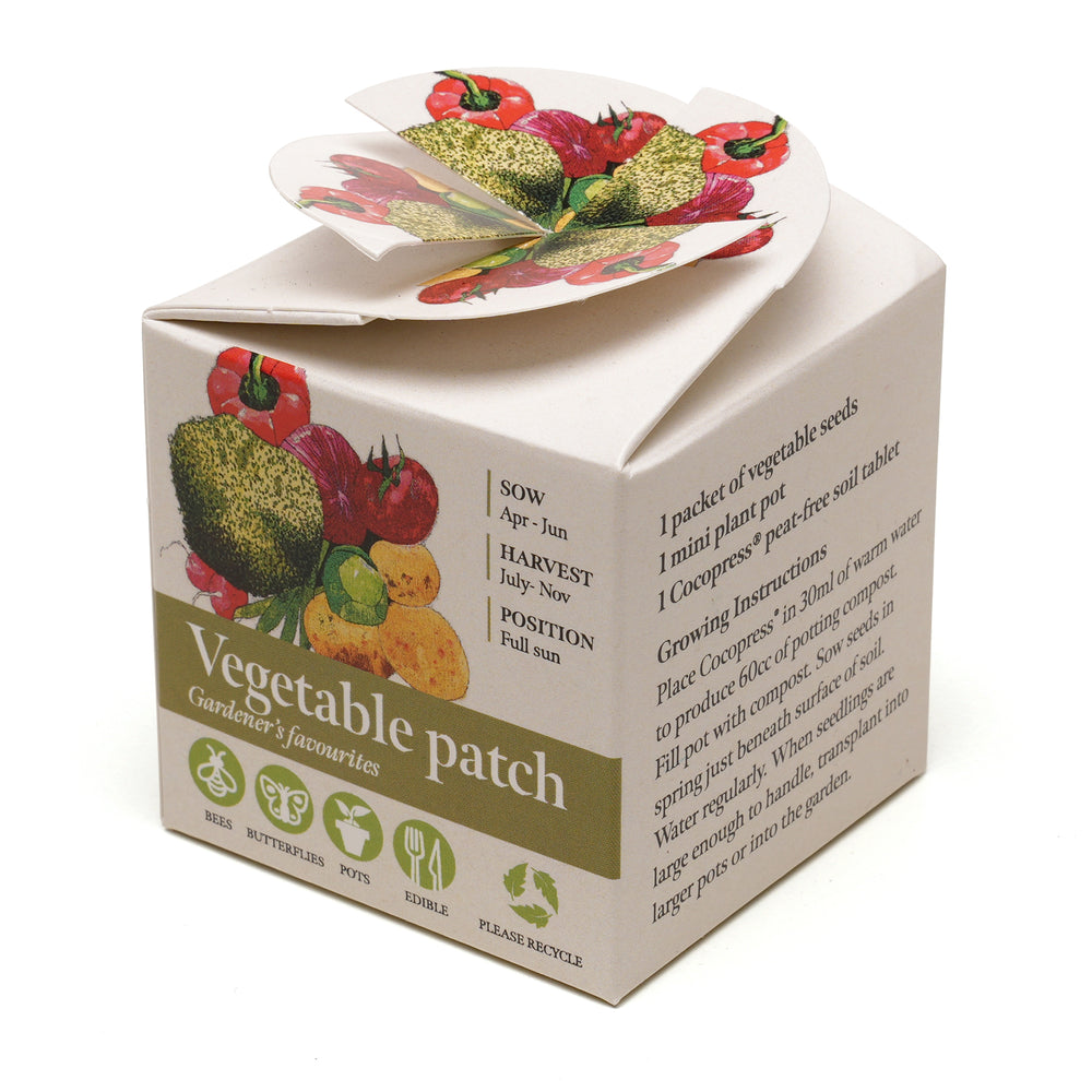 Mini Box Kit Vegetable Patch