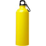Oregon 750 ml RCS certified single wall stainless steel water bottle with carabiner