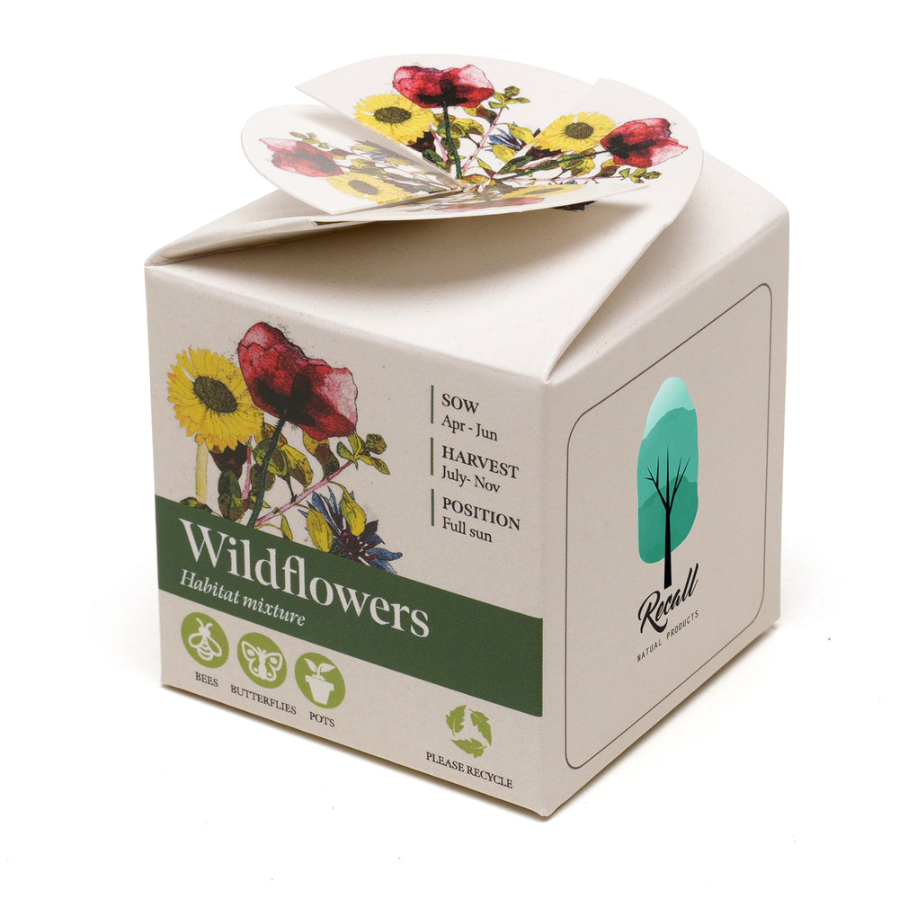 Mini Box Kit Wild Flowers Mix