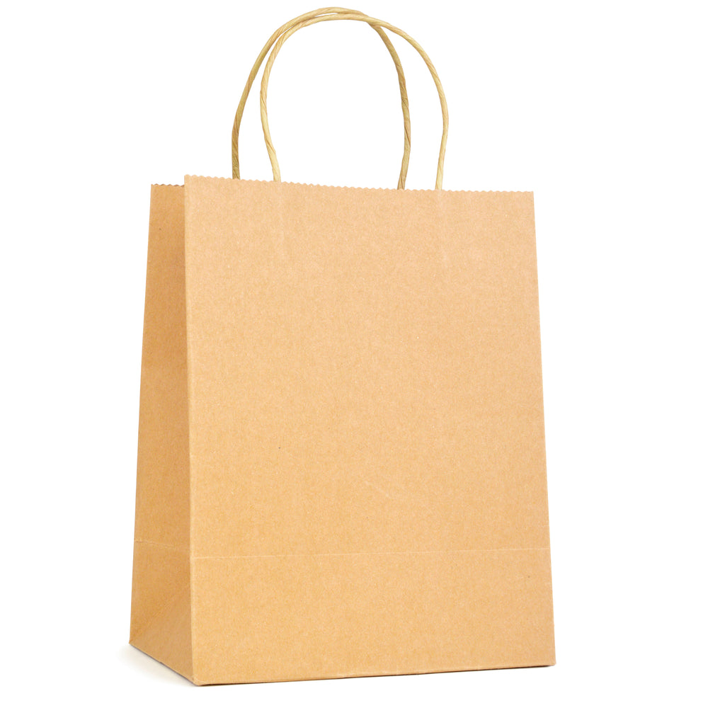 Branded Brunswick Medium Brown Paper Bag with matching paper handles