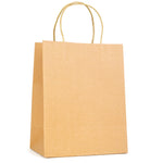 Branded Brunswick Medium Brown Paper Bag with matching paper handles
