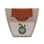 Growing Gift Forget-me-not