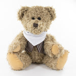 Bandanna Bear II
