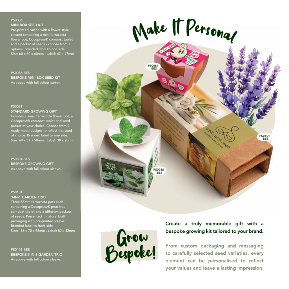 Mini Box Kit Norwegian Spruce