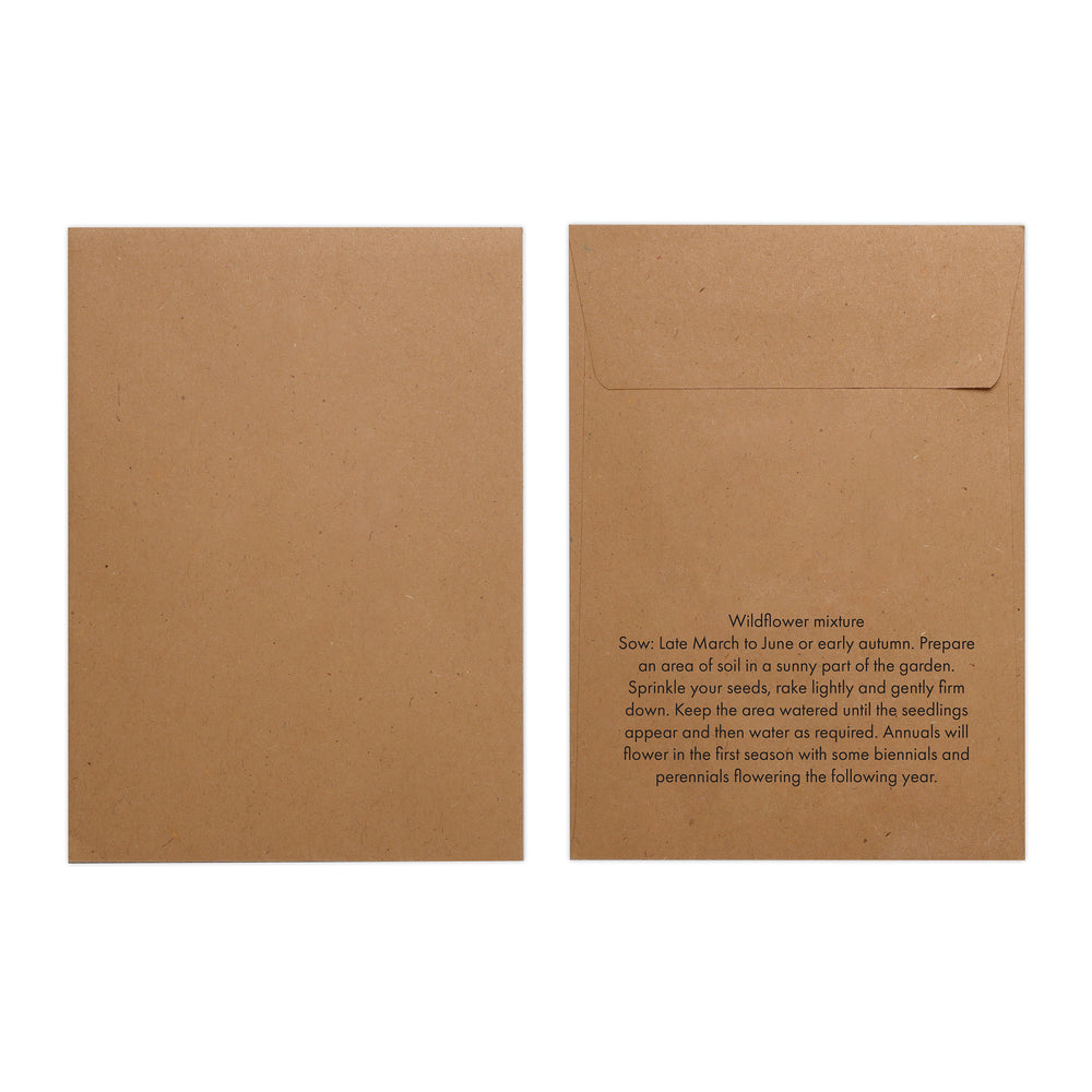 Seed Pack in Kraft Paper Envelope Wild Flowers Mix