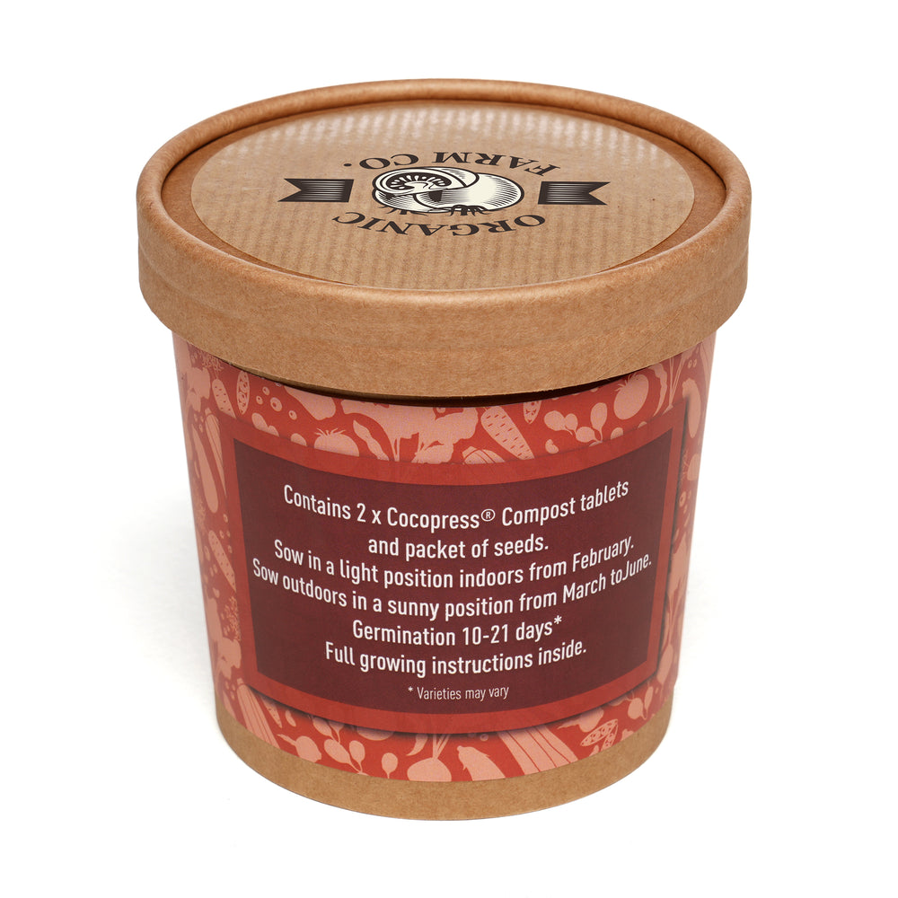 Seed Pot Cup'o Cardboard Pot Cabbage