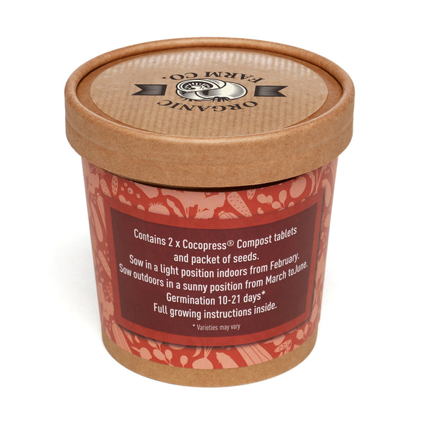 Seed Pot Cup'o Cardboard Pot Cabbage