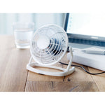 Branded USB fan