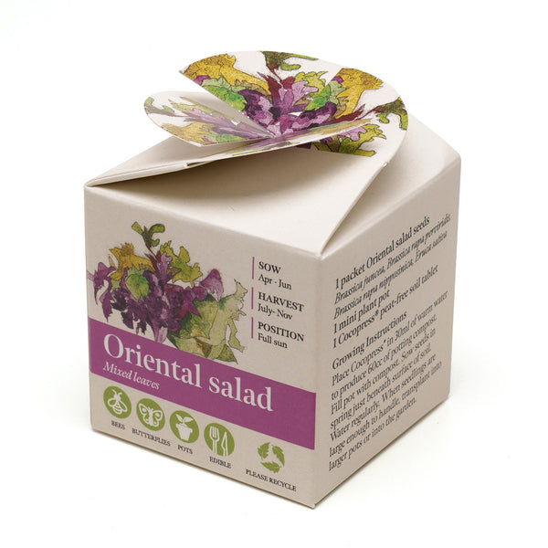 Mini Box Kit Oriental Salad