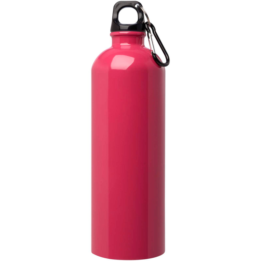 Oregon 750 ml RCS certified single wall stainless steel water bottle with carabiner