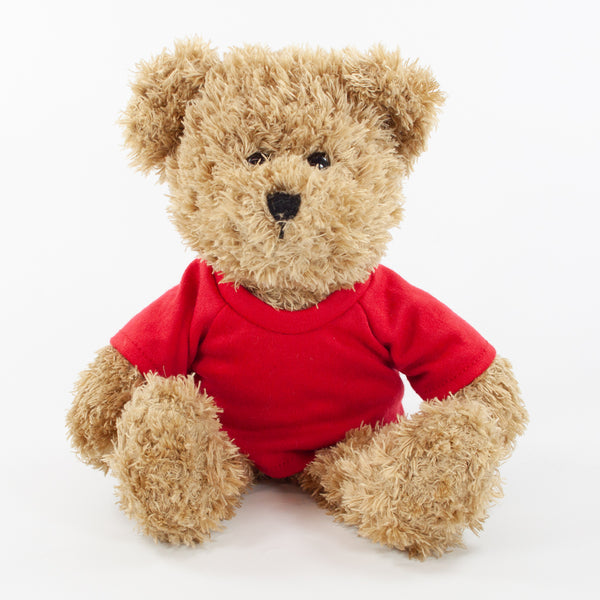 Coloured T-Shirt Bear III 25cm Scruffy