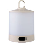 The Araminta - Multi-functional light