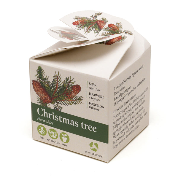 Mini Box Kit Norwegian Spruce