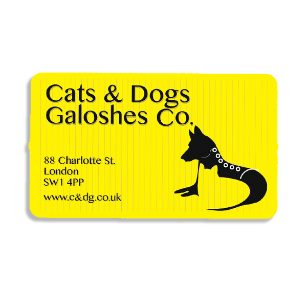 85mm x 50mm Rectangular Fridge Magnet