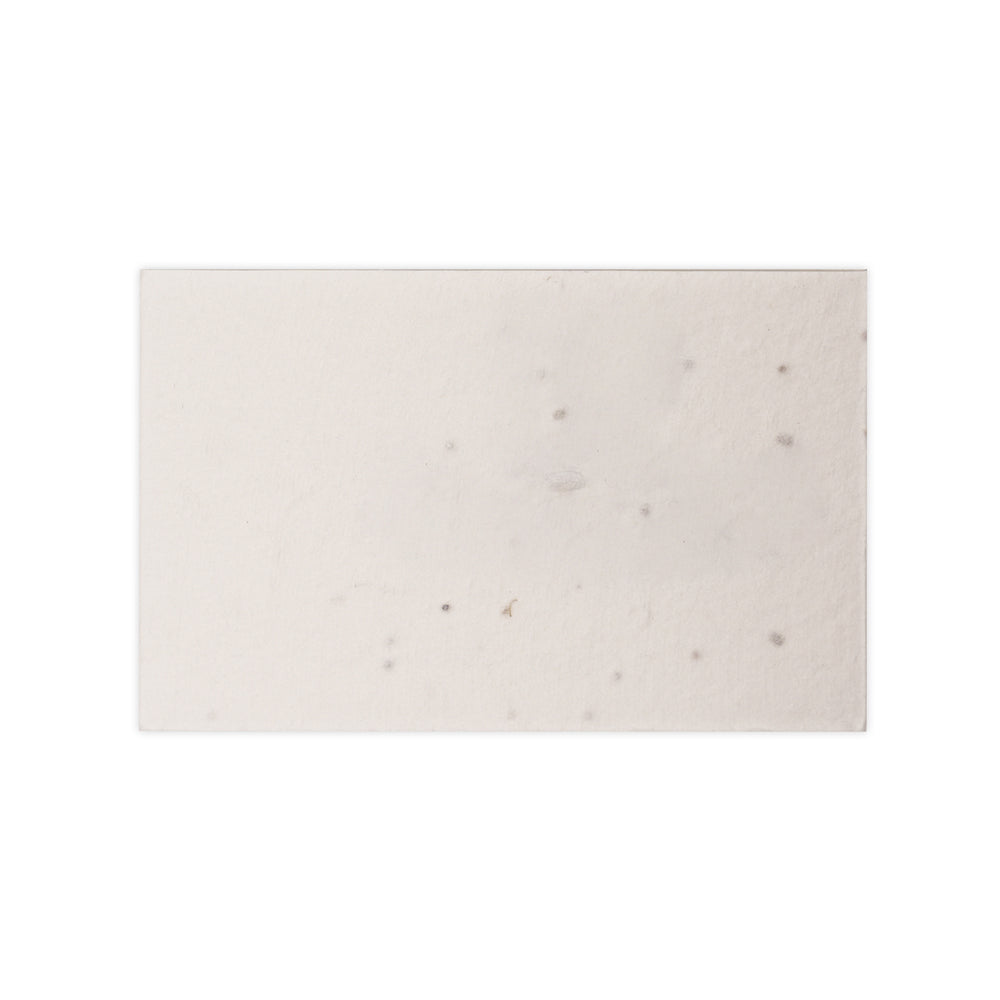 Seed Paper Business Card