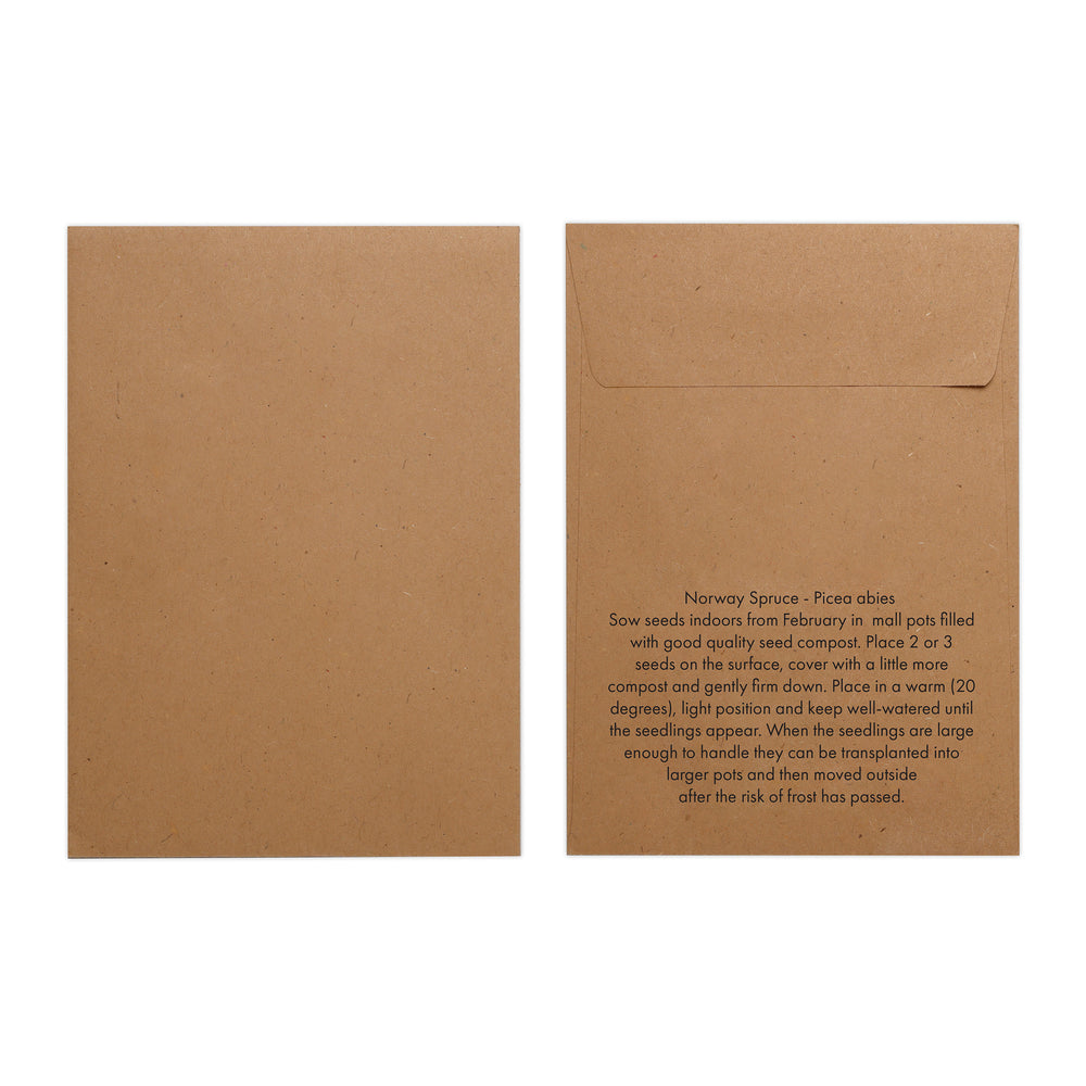 Seed Pack in Kraft Paper Envelope Norwegian Spruce