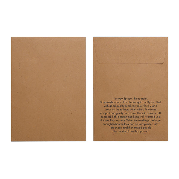 Seed Pack in Kraft Paper Envelope Norwegian Spruce
