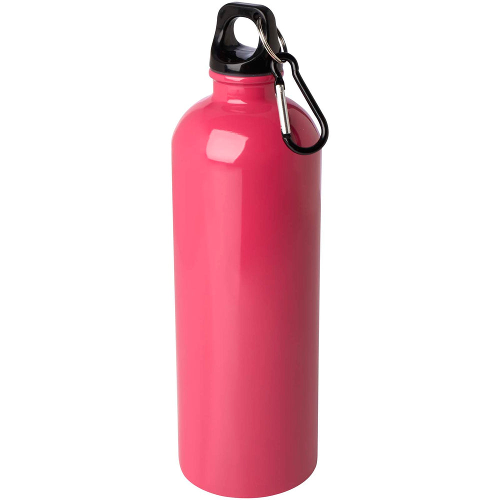 Oregon 750 ml RCS certified single wall stainless steel water bottle with carabiner