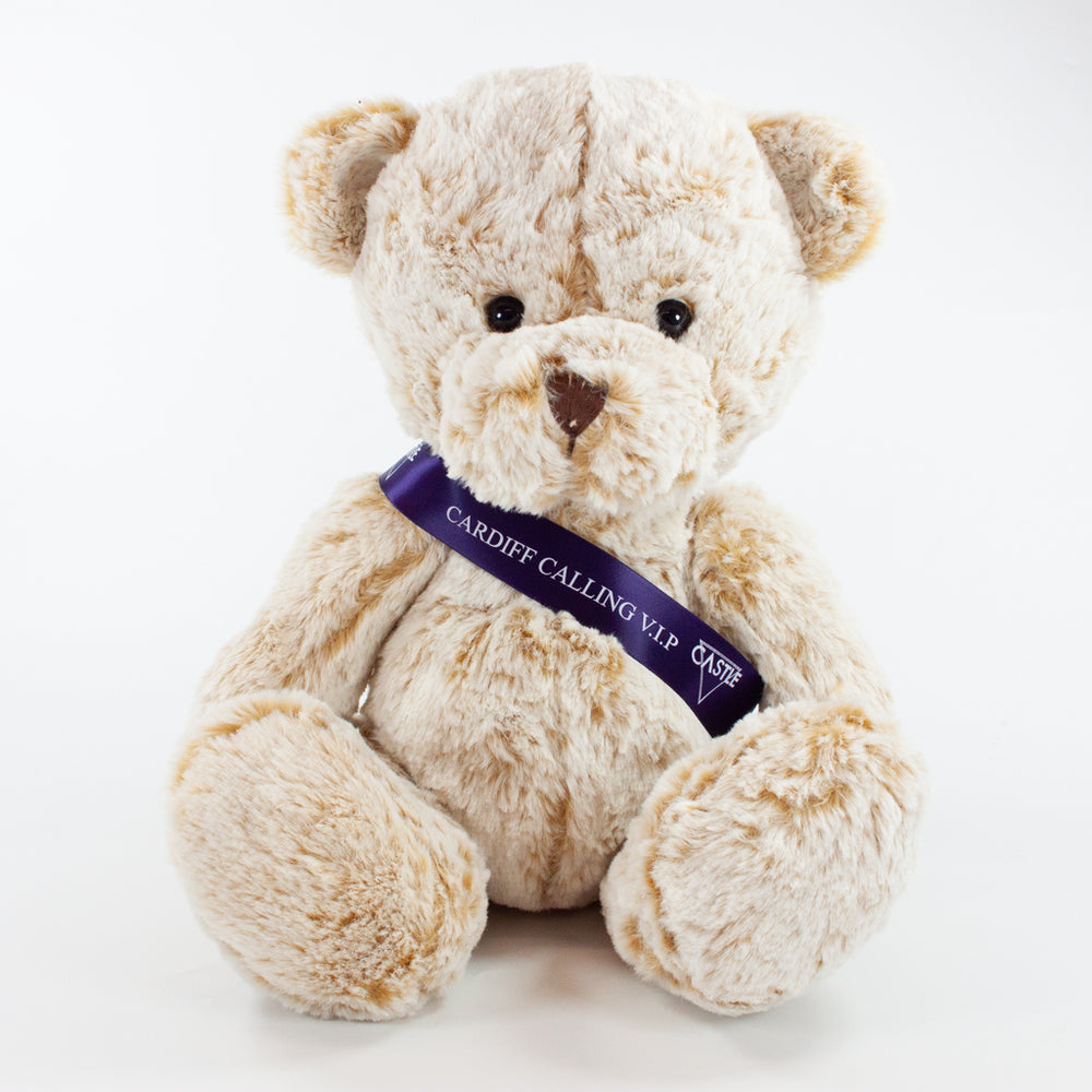 Sash Bear II 25cm Premier Bear, Fudge