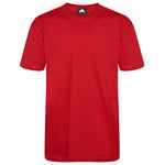 Orn Plover Premium T-Shirt Red