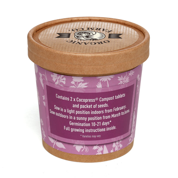 Seed Pot Cup'o Cardboard Pot Butterfly & Bee Mix