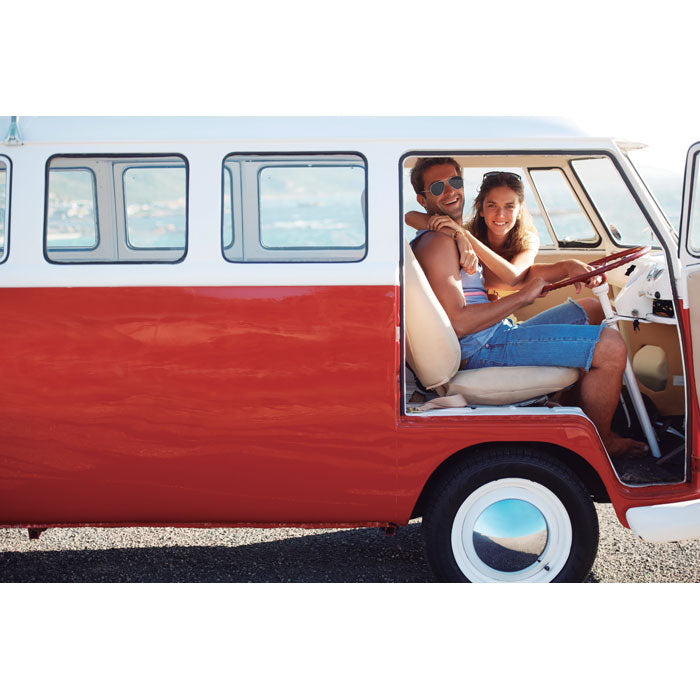 Set of 2 car window shades