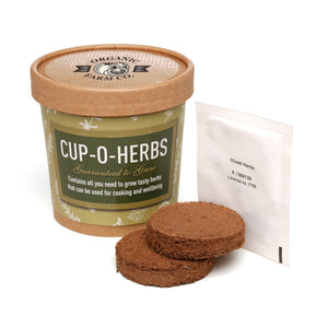 Seed Pot Grow Kit Kitchen Herbs Mix