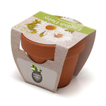 Growing Gift