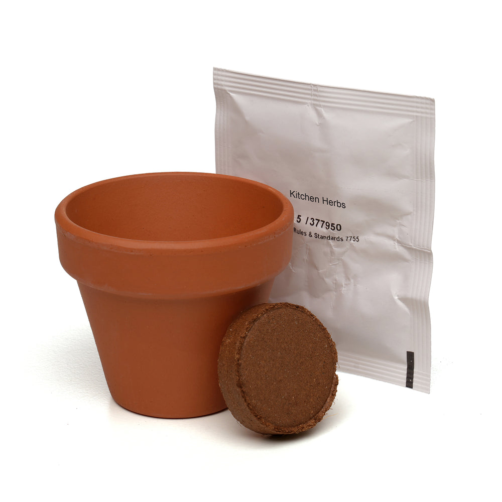 Mini Box Kit Kitchen Herbs Mix