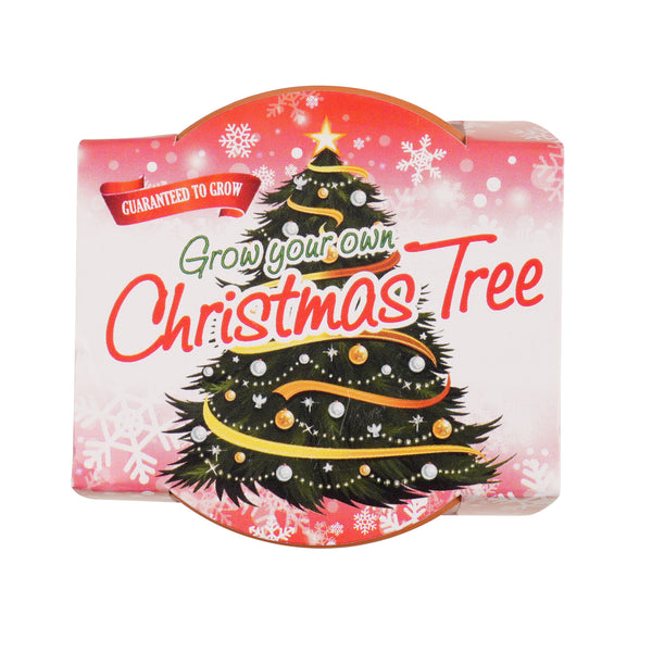 Growing Gift Norwegian Spruce