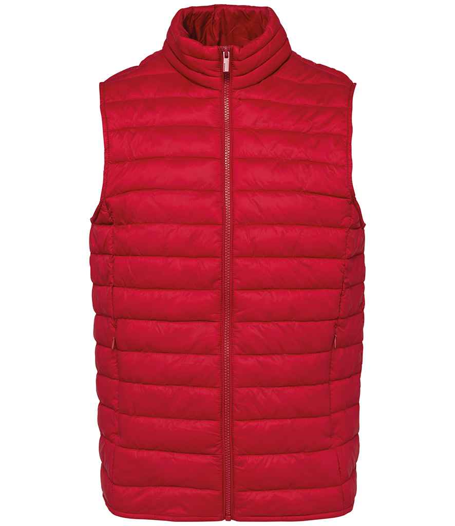 Native Spirit Light Recycled Bodywarmer
