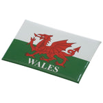 Printed Tin Fridge Magnet (Large)