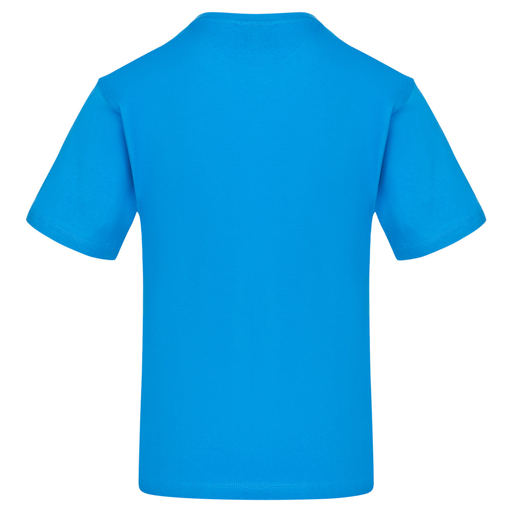 Orn Plover Premium T-Shirt Reflex Blue