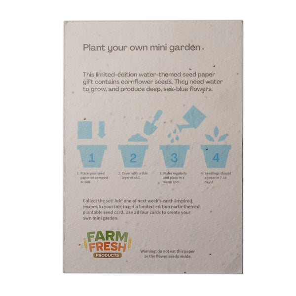 Seed Paper A6 Post Card