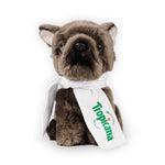 Ravensden French Bulldog with Scarf