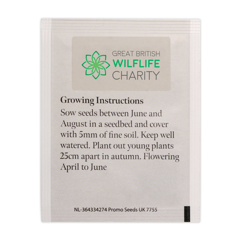 Seed Packet with Sticker to back Forget-me-not