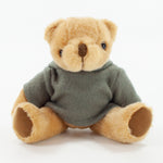 Coloured Hoodie Bear