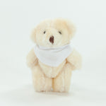 Bandanna Bear