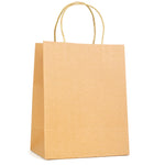 Branded Brunswick Medium Brown Paper Bag with matching paper handles