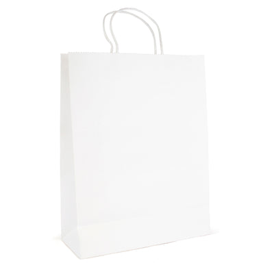 Brunswick Large Paper Bag with matching paper twisted handles