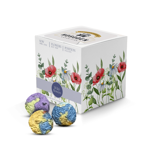Essentials Rainballs Seed Cubes