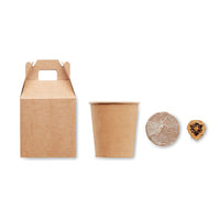 Pine tree set
