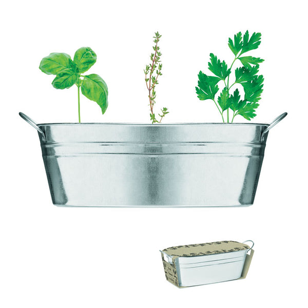 Branded Zinc tub with 3 herbs seeds