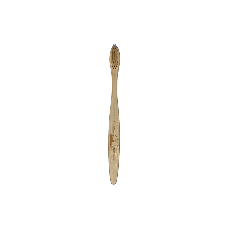Bamboo Toothbrush with Coloured Bristles