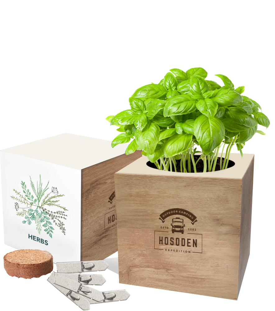 Essentials Desktop Cube Gardens
