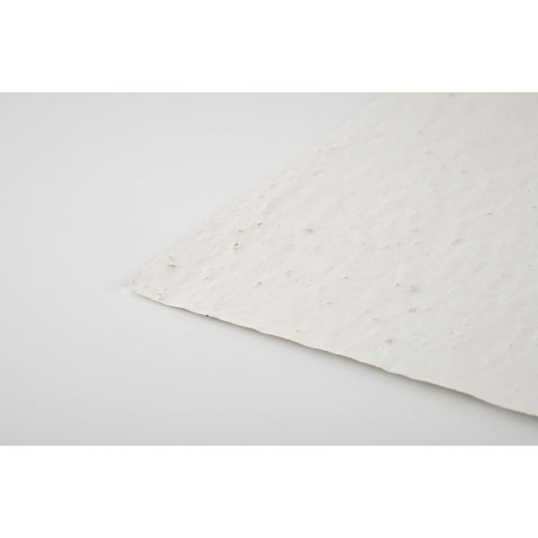 Branded A5 wildflower seed paper sheet