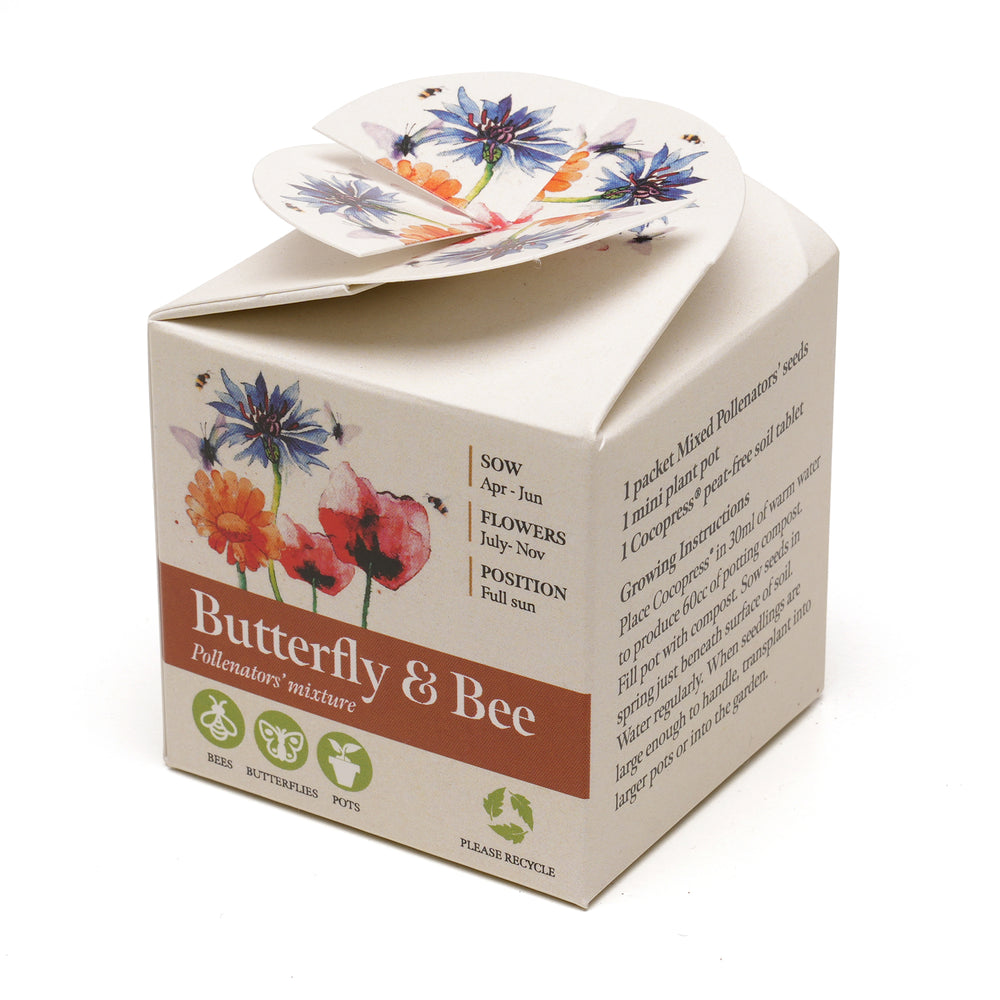 Mini Box Kit Butterfly & Bee Mix