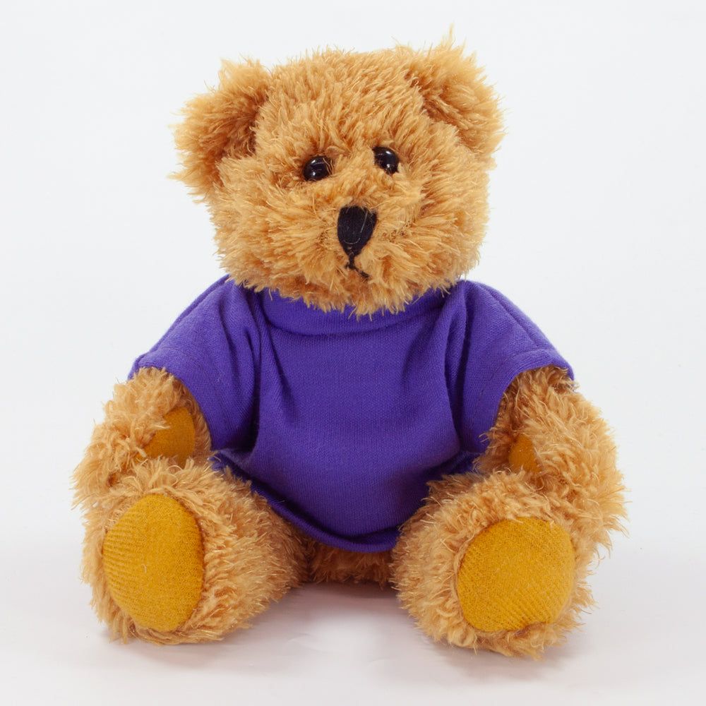 Coloured T-Shirt Bear III 20cm Sparkie Bear