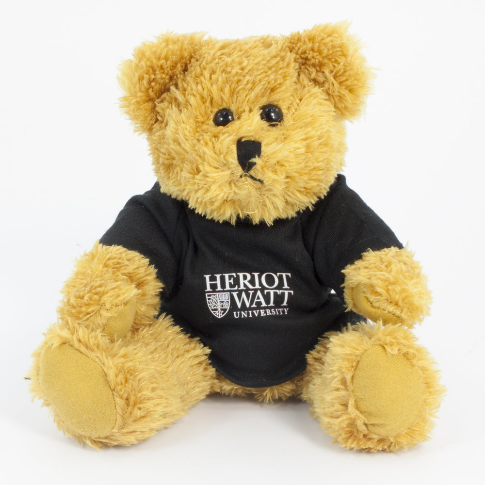 Coloured T-Shirt Bear III 25cm Sparkie Bear