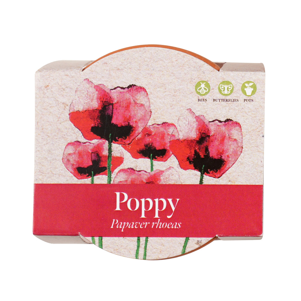 Growing Gift Poppy